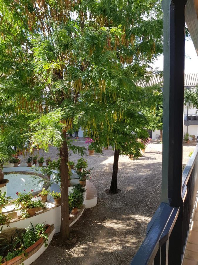 דירות סביליה Patio Andaluz Siglo XVI מראה חיצוני תמונה