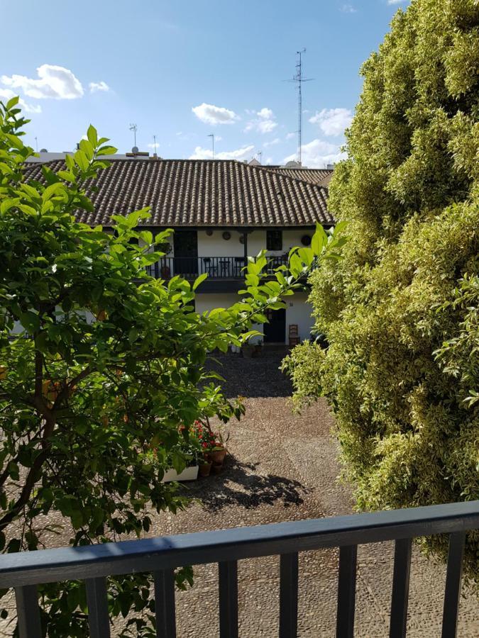 דירות סביליה Patio Andaluz Siglo XVI מראה חיצוני תמונה