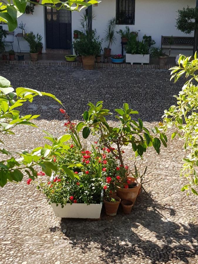 דירות סביליה Patio Andaluz Siglo XVI מראה חיצוני תמונה